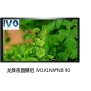 供应龙腾(IVO)10.1寸M101NWN8-R0液晶屏1000pcs